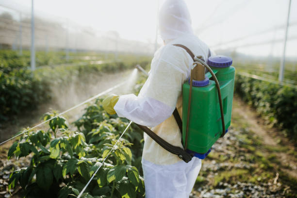 Insect Control in Glendora, NJ